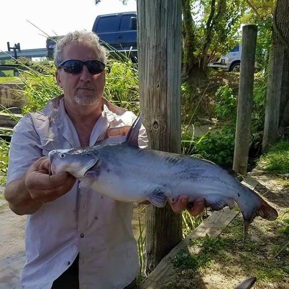 Meet your Posher, Jeff - Picture 1 of 1